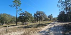 9831 Ne 85th St, Bronson, Florida, 32621