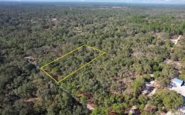 9831 Ne 85th St, Bronson, Florida, 32621