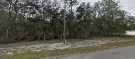  SE FISHER WAY PL, FL 32179, Ocklawaha, Florida, 32179