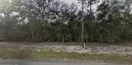  SE FISHER WAY PL, FL 32179, Ocklawaha, Florida, 32179