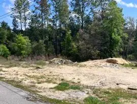 SW 204 TH AVE, DUNNELLON, FL , Dunnellon, Florida, 34431
