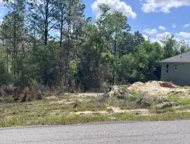 SW 204 TH AVE, DUNNELLON, FL , Dunnellon, Florida, 34431