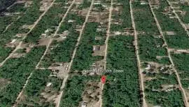 15589 NE 238th St, Fort McCoy, Florida, 32134