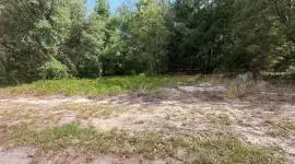 0 Guava Lane Place, Ocklawaha, Florida, 32179
