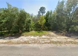 0 Guava Lane Place, Ocklawaha, Florida, 32179