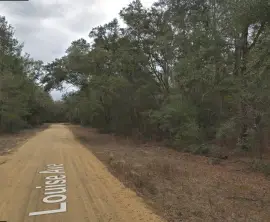 Louise Ave, Interlachen, Interlachen, Florida, 32148