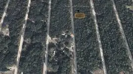 Louise Ave, Interlachen, Interlachen, Florida, 32148