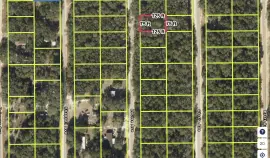 Louise Ave, Interlachen, Interlachen, Florida, 32148
