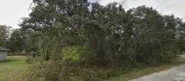 FISHER WAY, Ocklawaha, Florida, 32179
