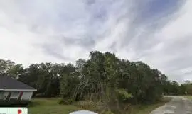 FISHER WAY, Ocklawaha, Florida, 32179