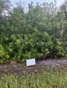 14276 Myakka Ave, Port Charlotte, Florida,  33953