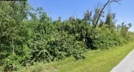 14276 Myakka Ave, Port Charlotte, Florida,  33953