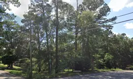 31.258079, -89.810032, Mississippi, 39429